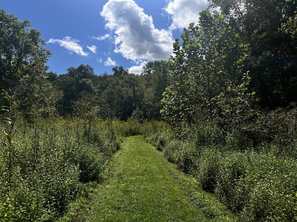 Ten-Mile Nature Preserve - Clermont Parks